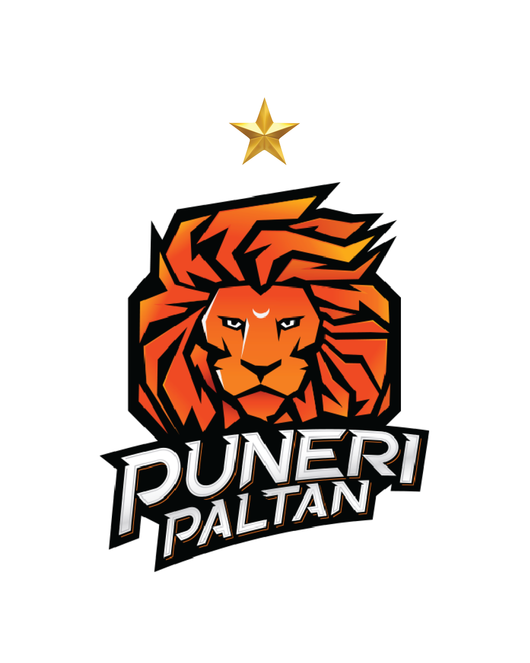 Puneri Paltan